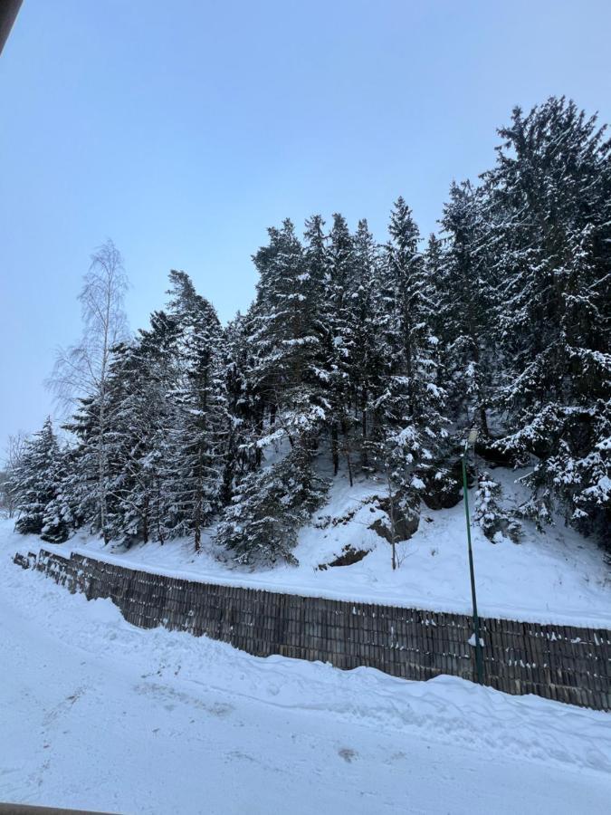 Apartman Zuzana Liptovsky Mikulas Exterior foto